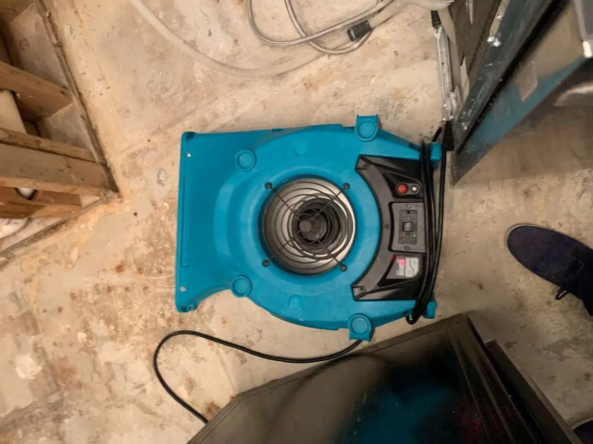 Air mover drying equipment for Mold Remediation & Removal in Pleasanton